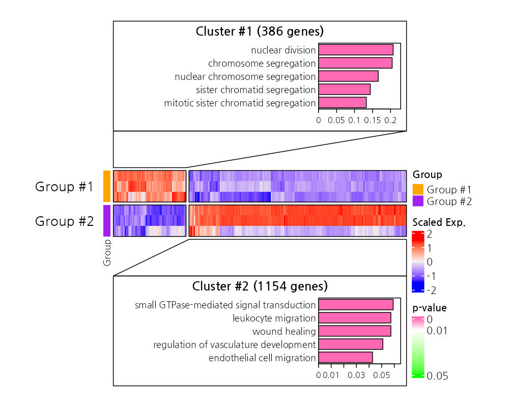 Gene Expression Heatmap and Clusters